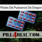 Dragon Power Pills 05